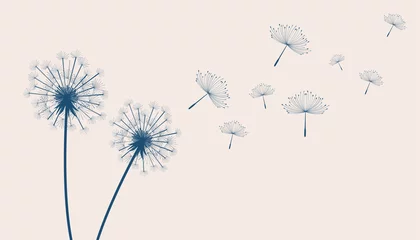 Fotobehang flying dandelion flower seeds make a wish concept background © starlineart