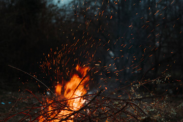 Fototapeta na wymiar Burning red hot sparks rising from large fire in the forest