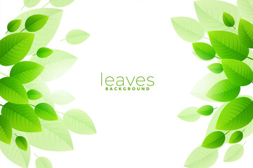 Fototapeta na wymiar brish green leaves background design