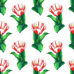 Seamless watercolor pattern with pink tulip flowers and green leaves. Hand drawn botanical flowers.