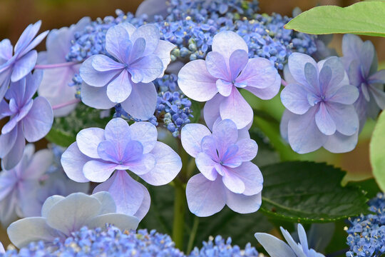 英山下photos Images Assets Adobe Stock