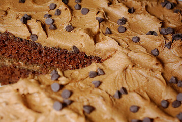 chocolate cake with chocolate chips close up