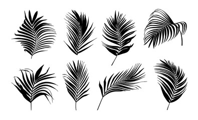 Collection of silhouette palm tree leaves vector