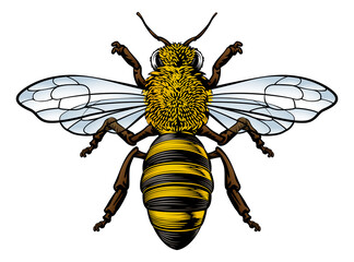 Honey Bumble Bee Vintage Woodcut Engraving Etching