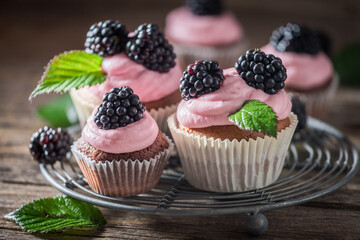 Delicious blackberry cupcake with berries. Chocolate cupcake with sugar