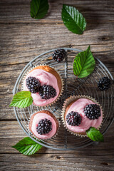 Homemade blackberry cupcake with berries and pink cream.