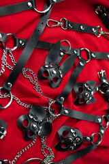 A set of erotic toys for BDSM. Sex slavery game with whip, gag and leather face mask. Intimate sex...