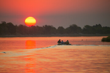 Naklejka premium Sunset over Chobe River between Namibia and Botswana, Southern Africa.