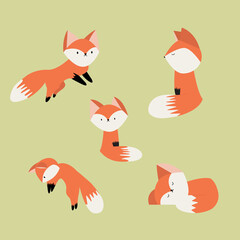 Vector set of five cute foxes in flat style. The fox is sitting, sleeping, jumping on a green background.