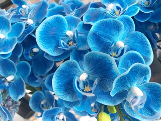 Blue artificial orchid flower background