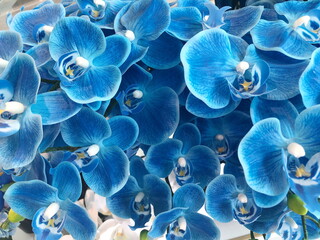 Blue artificial orchid flower background