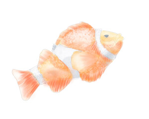 Watercolor hand-painted isolated clown fish on white background