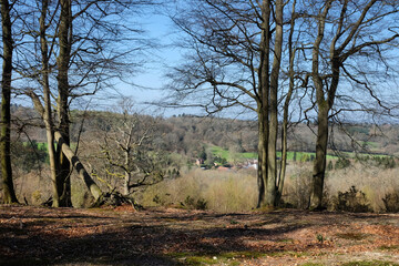 View from Hascombe Hill, Surrey, UK