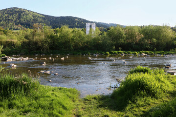 Calm river in mountain region.