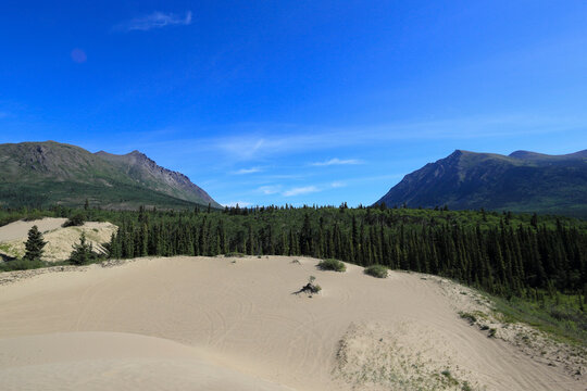 sand dunes called carcross desert and mountain view, Yukon, Canada