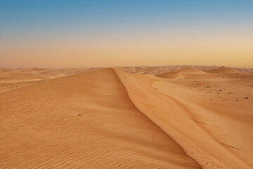 Fototapeta na wymiar Dune ridge desert