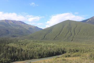 View on incredible landscape in nature in Canada, Hiking trail called Mineral Licks Trail, alone in...