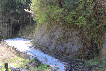 田舎の登り坂