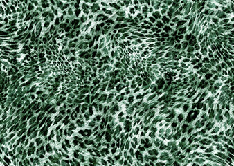 Fototapeta premium abstract leopard print 