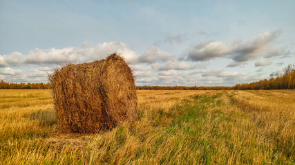 A bale of hay standing on a field in autumn