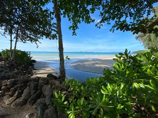 Obraz premium beach with palm trees