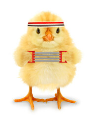 Cute cool chick wellness training practice fitness with spring chest expander funny conceptual image