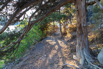 Fototapeta premium Golitsyn's Trail. Novy Svet, Sudak region, Crimea,