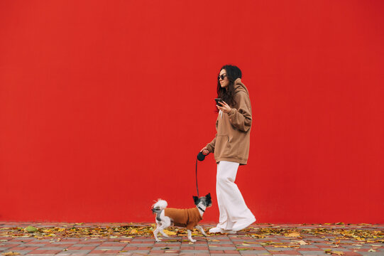 Stylish Female Dog-owner In Casual Attire And Sunglasses Is Walking Her Little Pet - Yorkie, Strolling The City Street Covered With Fallen Leaves, Red Wall On The Background.