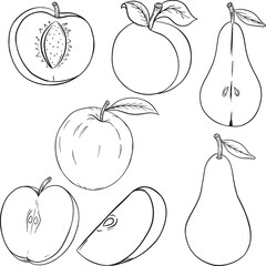 set of fruit outlines vector illustration: apple, apricot, pear