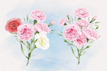 Obraz na płótnie Canvas Watercolor carnation flowers illustration