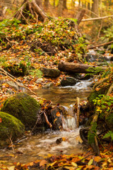 Kleiner Bach mit Wasserfällen im Harz