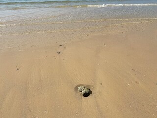 low tide on sunny golden beach