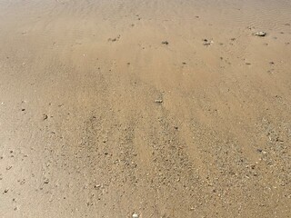 low tide on sunny golden beach