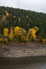 Okertalsperre im Nationalpark Harz, Deutschland