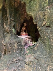 ornate limestone cliffs