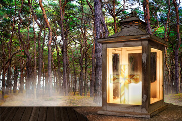 Friedwald- forest cemetery. natural funerals in woodland, Natural burial, graves in the forest. tree burial, cemetery and and All Saints Day concepts