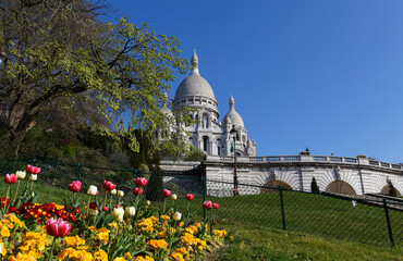 Fototapeta premium The famous basilica Sacre Coeur , Paris, France.
