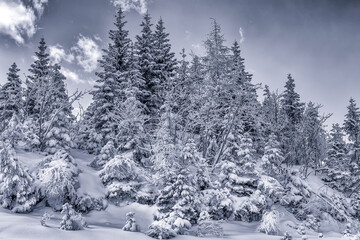 Mostviertel in winter