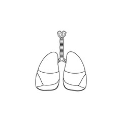 Human Respiratory System line Icon Vector isolated on white background. Breathe, bronchi, bronchiole, bronchus, lung, lungs outline icon for medical or health care concept