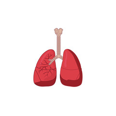 Human Respiratory System Icon Vector Illustration isolated on white background. Breathe, bronchi, bronchiole, bronchus, lung, lungs icon for medical or health care concept