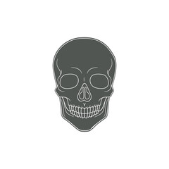 Modern Minimalist Human Skull Icon Vector Illustration. Simple skeleton of head icon for halloween or death concept. Skull symbol isolated on white background. Bone, cranium, halloween, brainpan