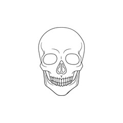 Modern Minimalist Human Skull LIne Icon Vector Illustration. Simple skeleton of head outline icon for halloween concept. Skull symbol isolated on white background. Bone, cranium, halloween, brainpan