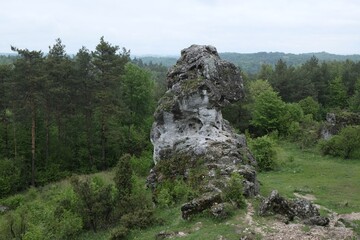 Area of Gora Zborow Nature Reserve - a very interesting viewpoint in Krakowsko-Czestochowska...