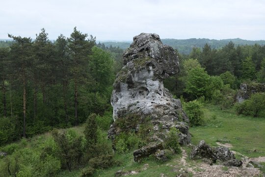 Area of Gora Zborow Nature Reserve - a very interesting viewpoint in Krakowsko-Czestochowska Upland, Trail of Eagle's Nests, Silesia, Poland