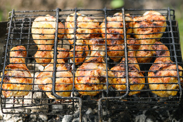 Chicken shish kebab on the grill. Grilled meat, barbecue.