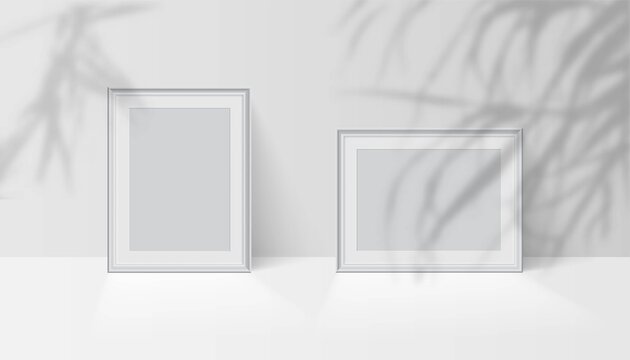 Tropical palm leaf shadow falls on blank white picture frames. Trendy overlay shadow effect. Vector illustration of design realistic mockups, templates for poster or photo portfolio, decor
