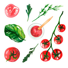 Watercolor set with vegetables on a white isolated background. Clipart with fresh and healthy food. Cherry tomatoes on a branch, rosemary, tomato sauce, spinach, tomatoes, dill. Vegan clipart for kitc