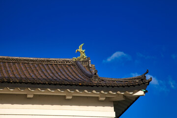 Fototapeta na wymiar Tipical japanese roof