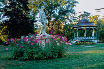 garden with flowers