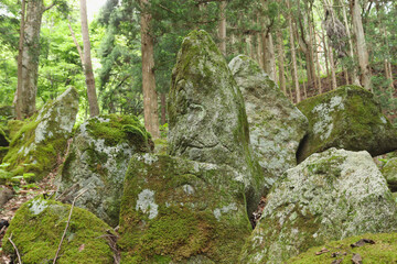 遠野「五百羅漢」　自然石に掘られた仏像　岩手県遠野市
